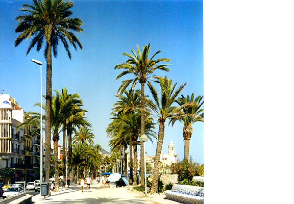 H2.jpg (53366 bytes)